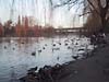 wasserpark2KL (12k image)